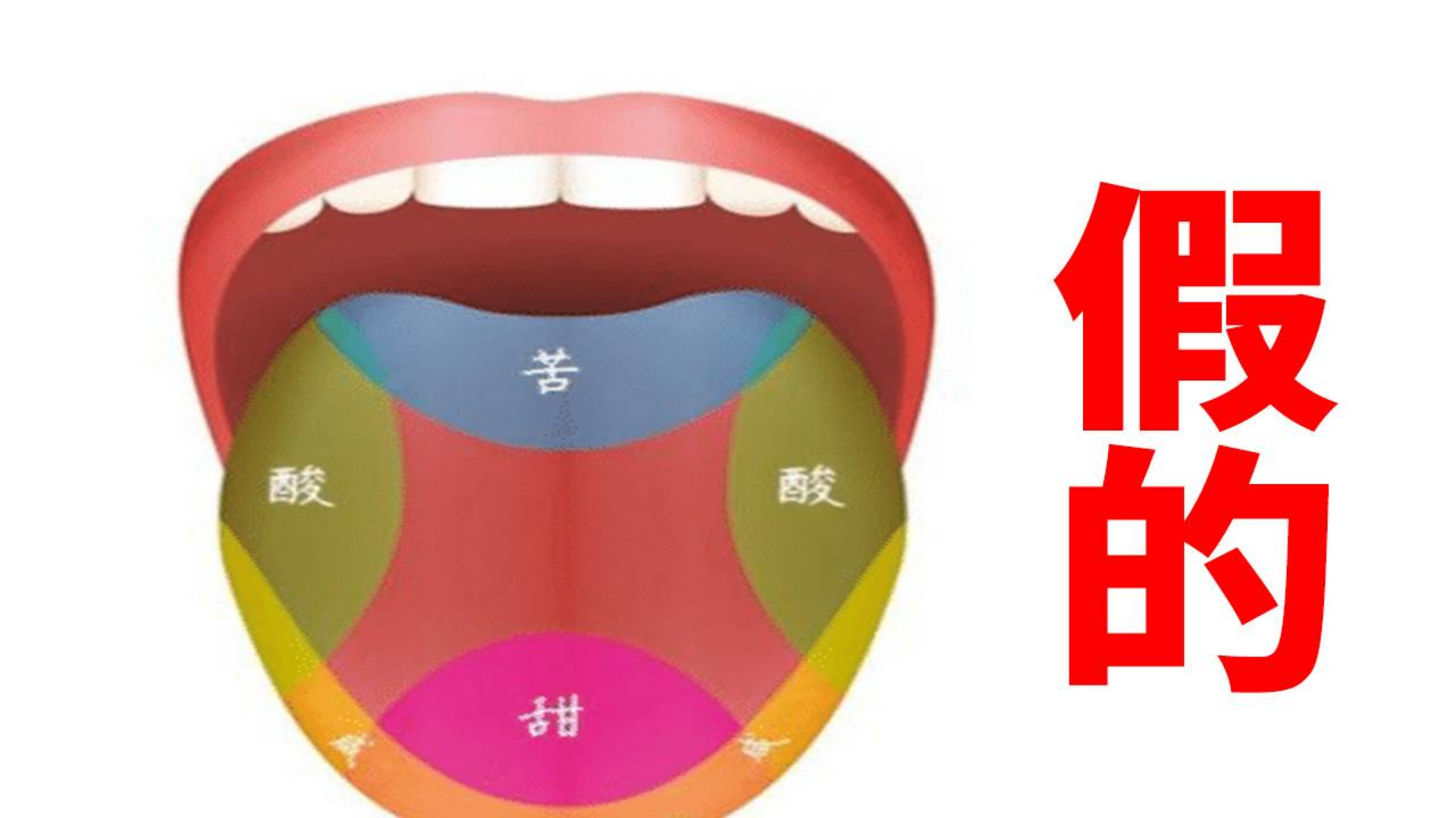 7个曾经骗了你好久的伪知识【A等生】【全民】